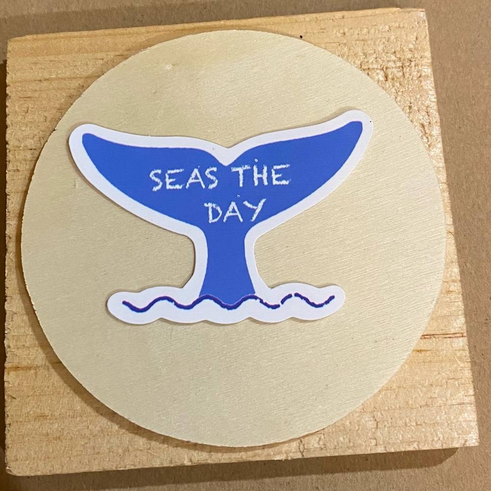 🌈20/$5🌈 Seas The Day Sticker